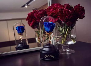 送她一份永不凋谢的英式花礼，让陪伴更长久