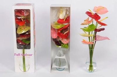 颜值与内涵并存——GET这份“崇明版”新年伴手礼清单，让礼品花卉传递新春祝福