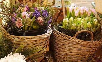 从街头到世界 93年女孩的另类卖花路，年入400万，生意遍及40国